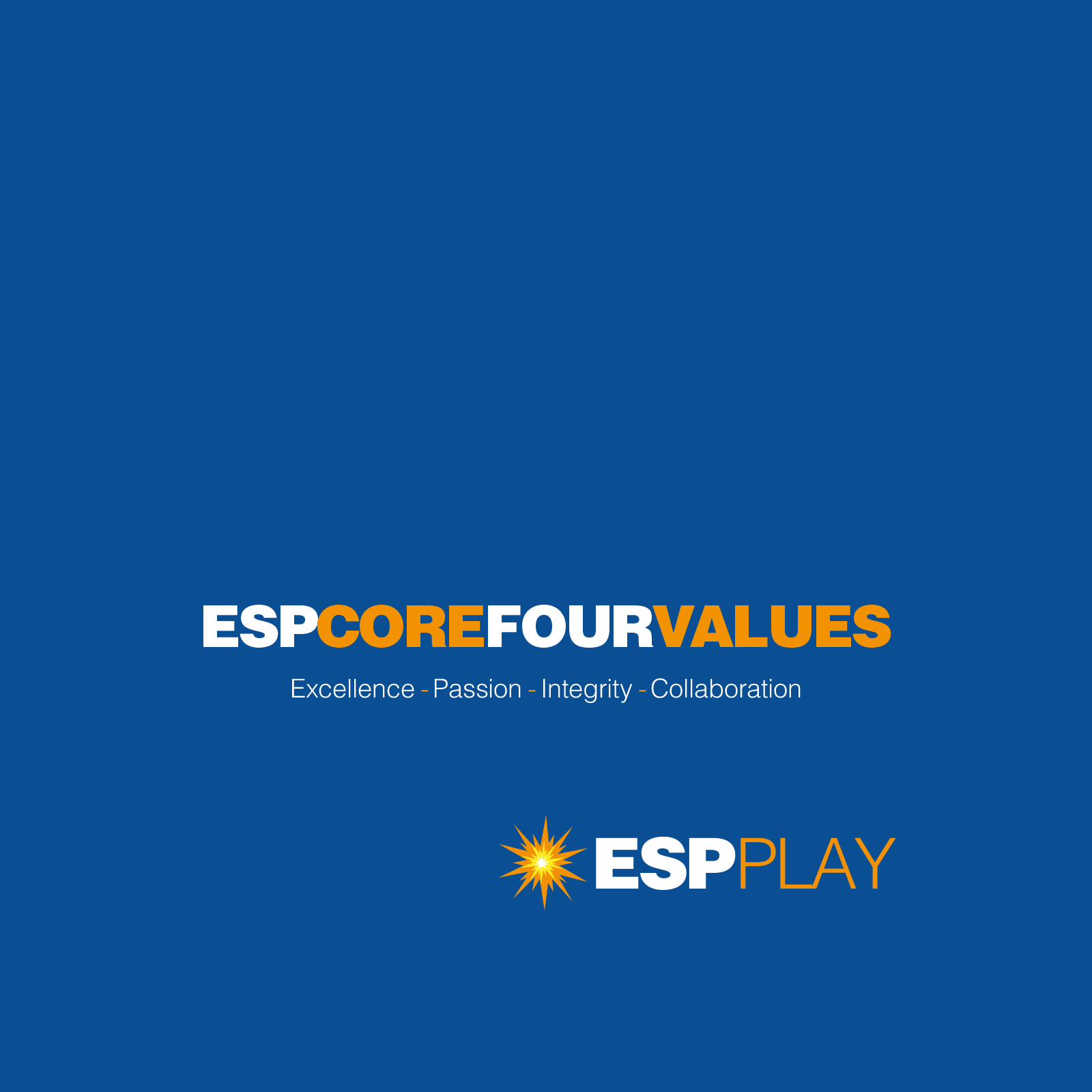 ESP Play - The Playgound Experts