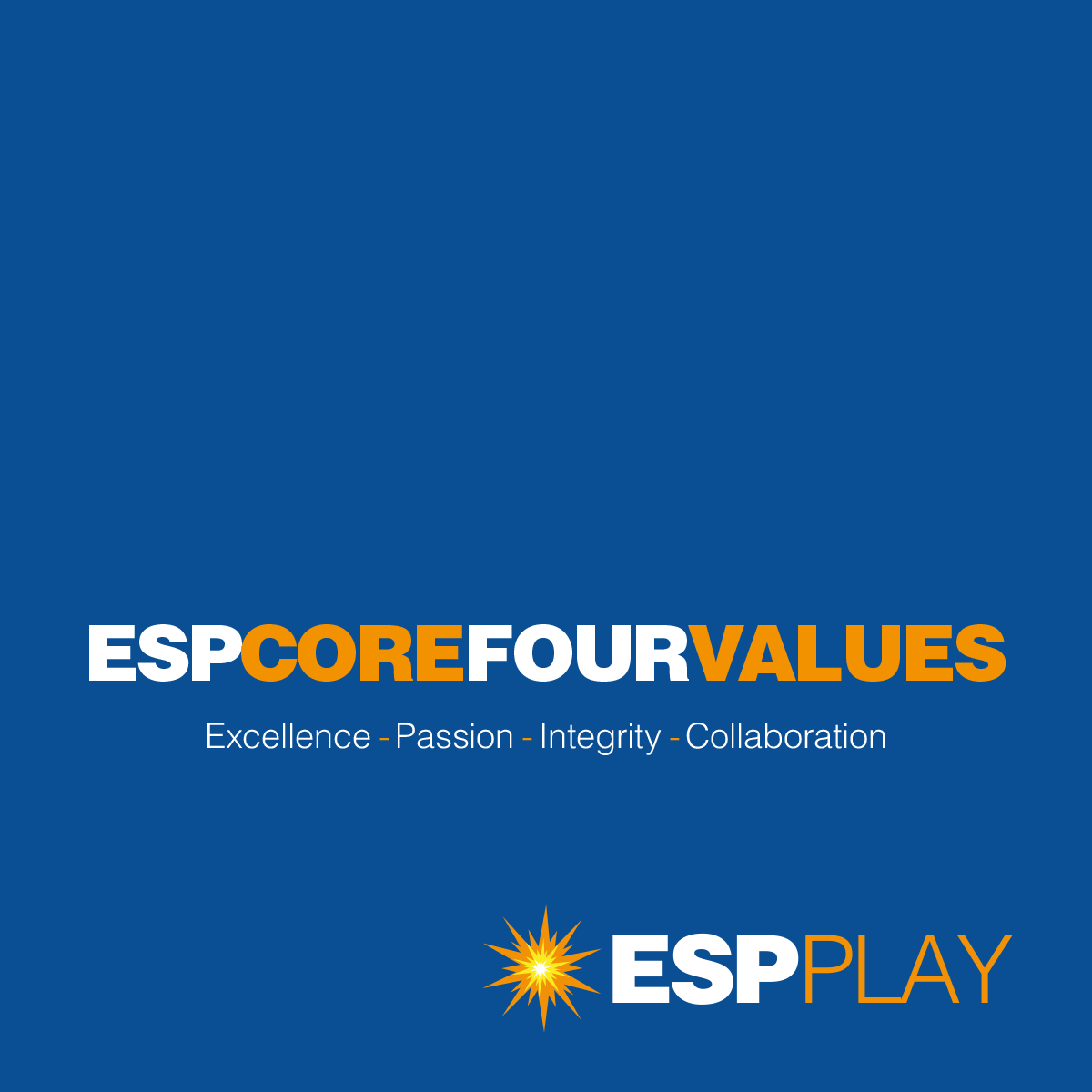 ESP Play - The Playgound Experts